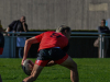 img233