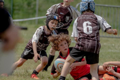 Challenge Tommy Dilly de Genlis 2023