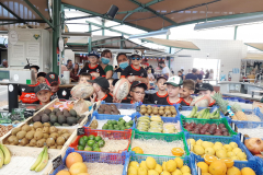 Edr au marché de Dole