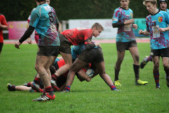 Juniors -18 US Dole - Nord Comtois XV